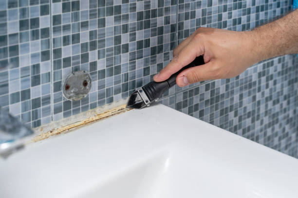 Best Commercial Mold Remediation in North Kingsville, OH